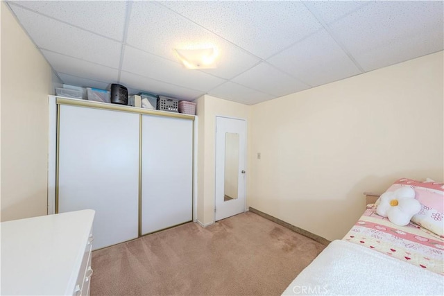 carpeted bedroom with a paneled ceiling and a closet