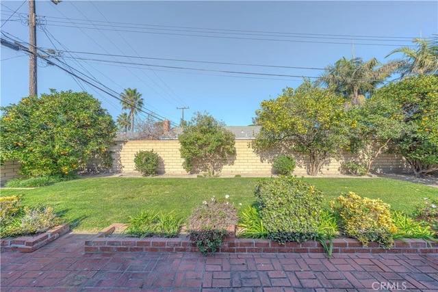 view of yard featuring a patio area