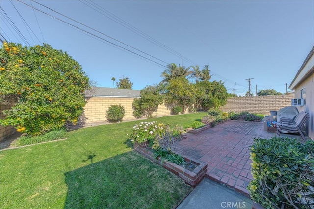 view of yard featuring a patio