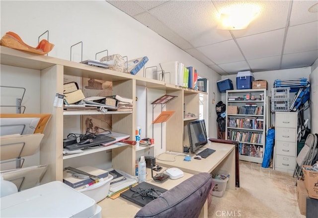 office area featuring a drop ceiling and light carpet