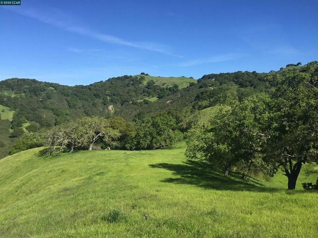 1240 Monticello Rd, Lafayette CA, 94549 land for sale