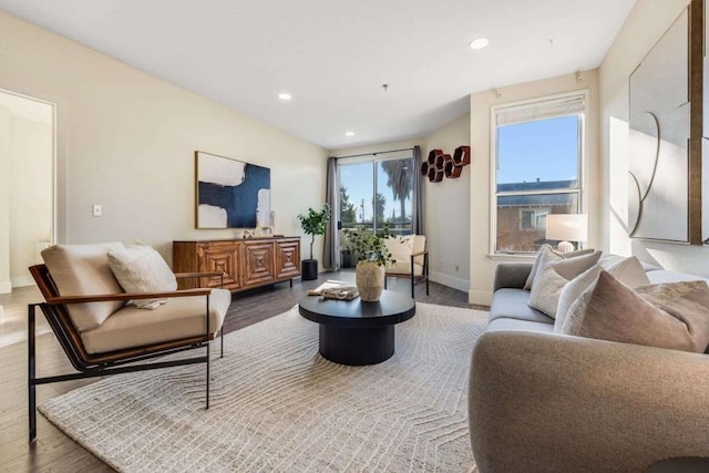 living room featuring hardwood / wood-style floors and a wealth of natural light