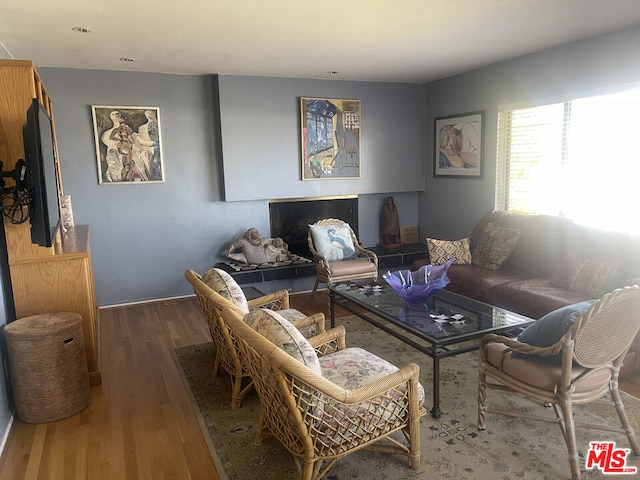 living room with wood-type flooring