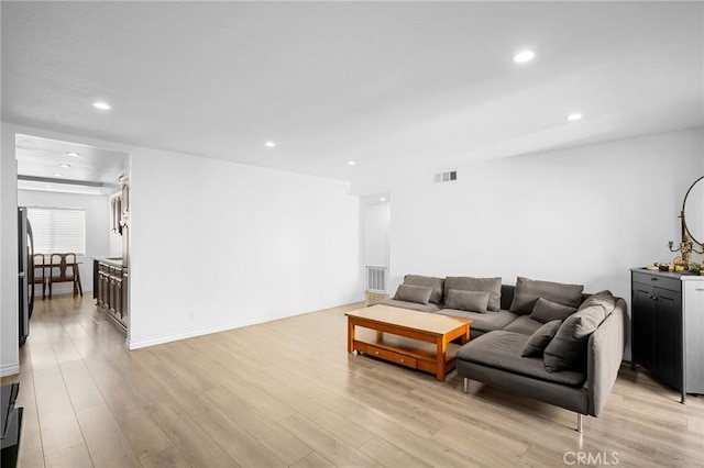 living room featuring light wood-type flooring