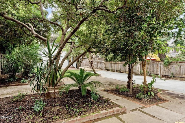 view of yard with a patio