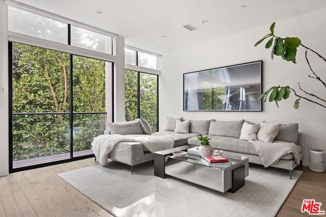 living room featuring floor to ceiling windows and light hardwood / wood-style flooring