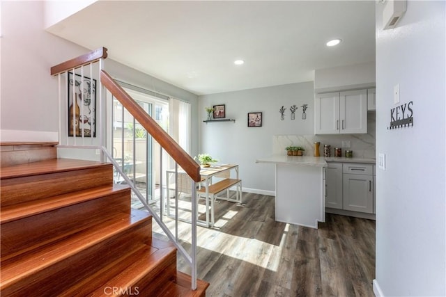 interior space with white cabinetry, dark hardwood / wood-style floors, and backsplash