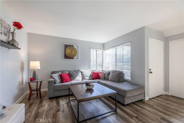 living room featuring dark wood-type flooring