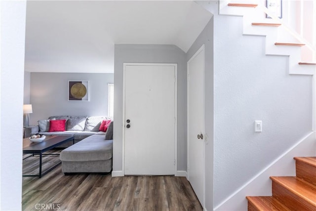 entrance foyer featuring wood-type flooring