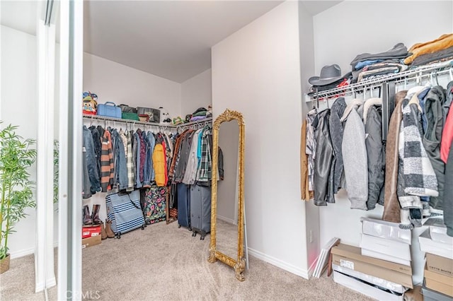 spacious closet featuring light colored carpet