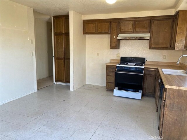 kitchen with gas stove, sink, and dishwashing machine