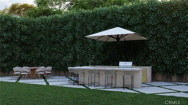 view of yard with an outdoor kitchen, a patio, and an outdoor wet bar