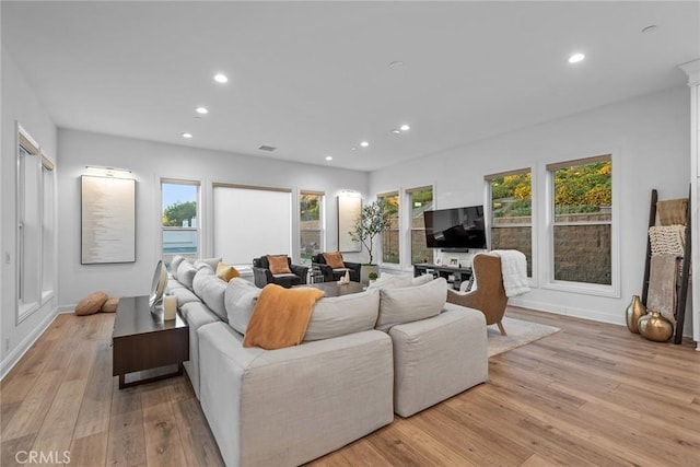 living room featuring light hardwood / wood-style floors