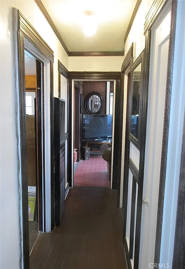 hallway featuring crown molding and dark hardwood / wood-style floors