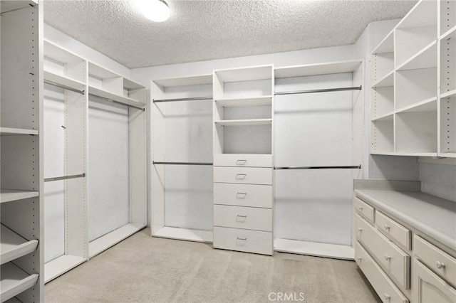 spacious closet featuring light carpet