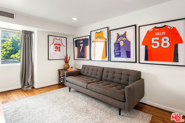 living room with hardwood / wood-style floors