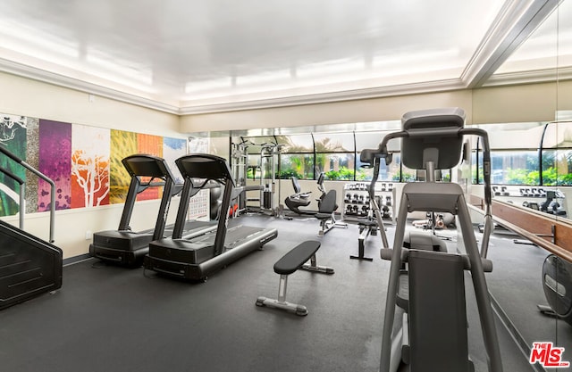 workout area featuring a wealth of natural light