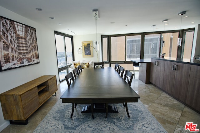 dining space with expansive windows