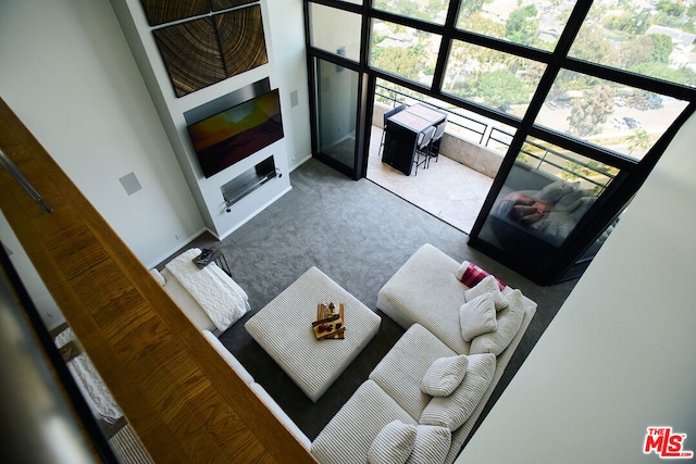 unfurnished living room with carpet flooring