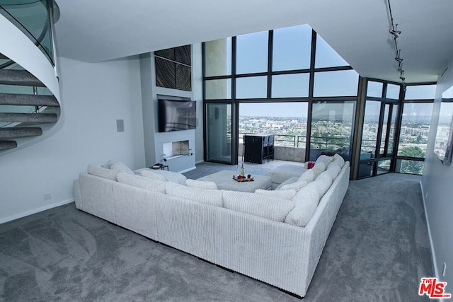 carpeted living room with a high ceiling, rail lighting, and a wall of windows