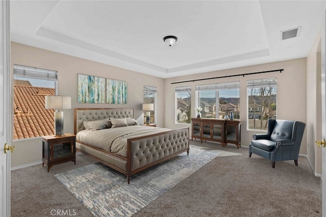 bedroom featuring a raised ceiling and carpet floors