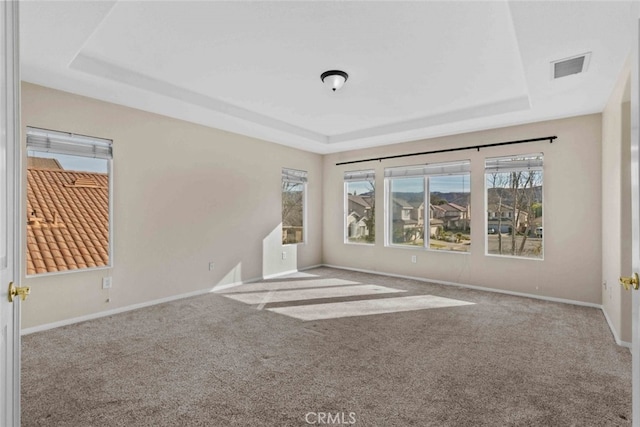 carpeted empty room with a raised ceiling