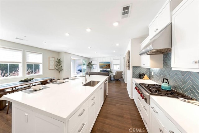 kitchen featuring stainless steel appliances, a wealth of natural light, sink, and a center island with sink