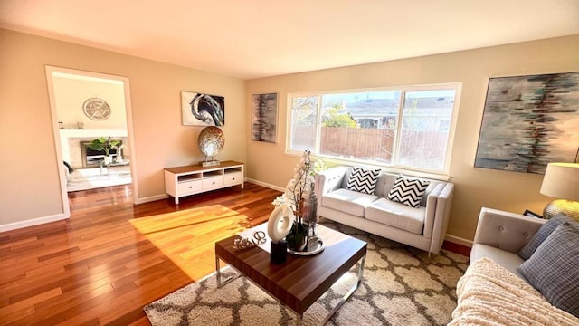 living room with wood-type flooring