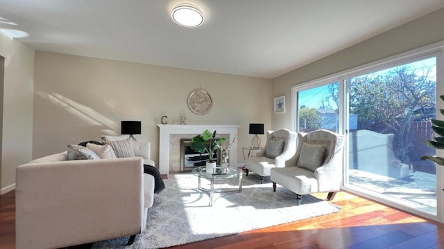 living room featuring wood-type flooring and a fireplace