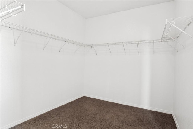30272 Tattersail Way, Menifee, CA 92584 - walk in closet featuring dark colored carpet