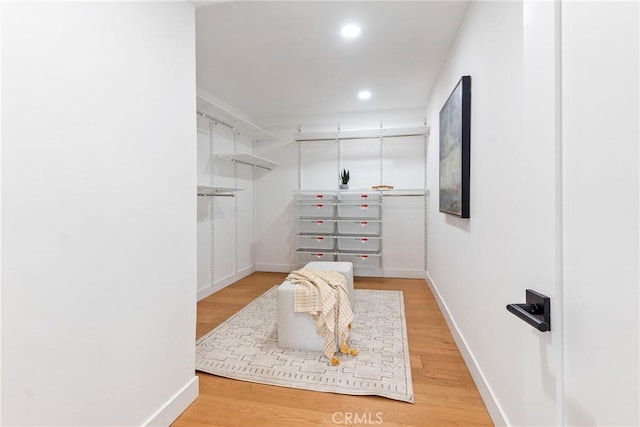 walk in closet featuring wood finished floors