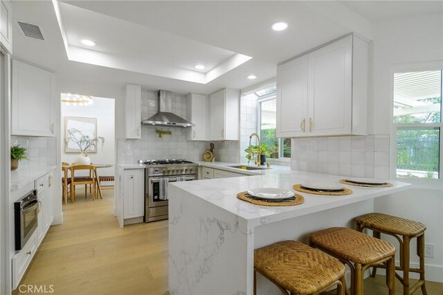 kitchen with appliances with stainless steel finishes, wall chimney exhaust hood, a peninsula, a raised ceiling, and a sink