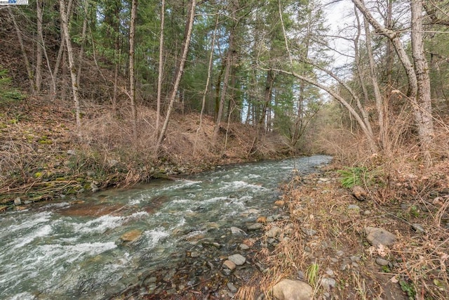 view of local wilderness