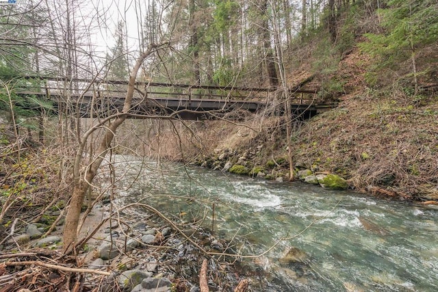 view of local wilderness