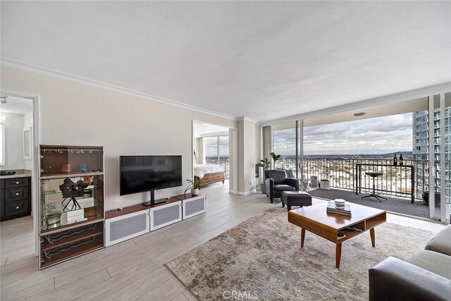 living room with expansive windows and ornamental molding