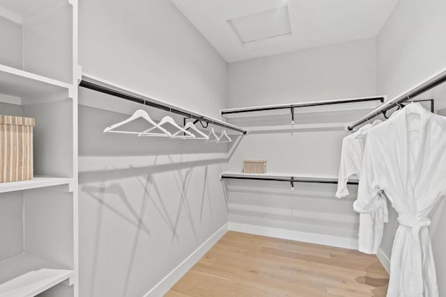 walk in closet featuring hardwood / wood-style floors