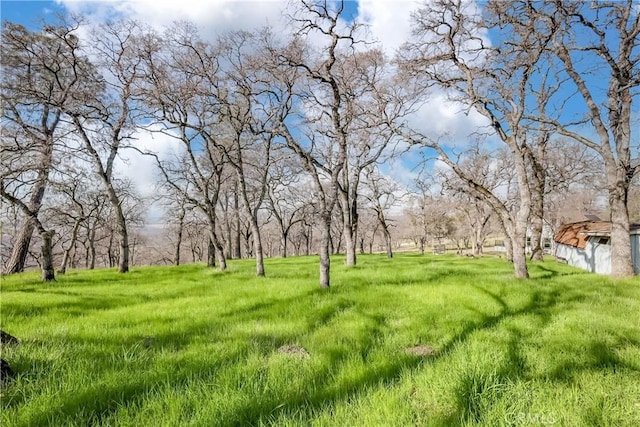 view of yard with a rural view