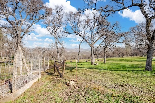 view of yard featuring a rural view