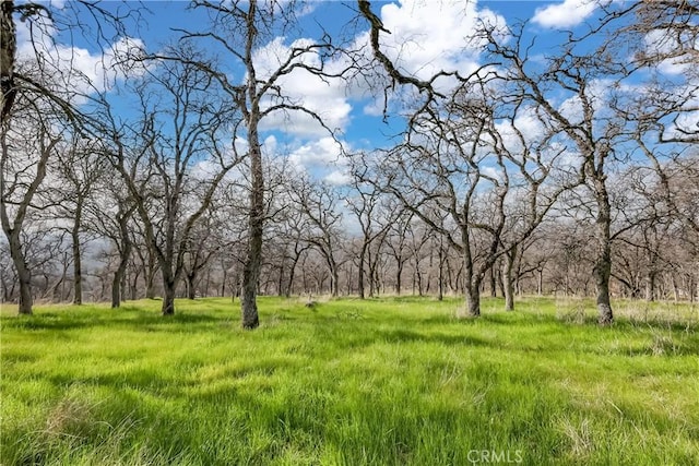 view of local wilderness featuring a rural view