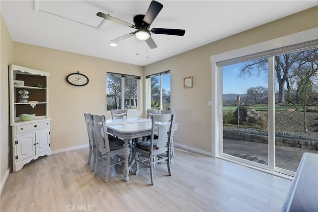 dining room featuring ceiling fan and light hardwood / wood-style flooring