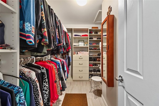 view of spacious closet