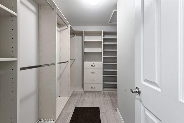 view of walk in closet