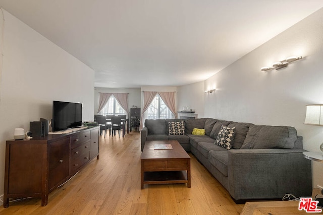 living room featuring light wood-type flooring