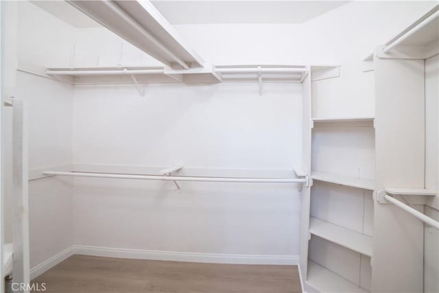 spacious closet featuring light hardwood / wood-style flooring