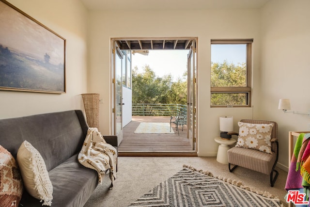 sitting room with carpet