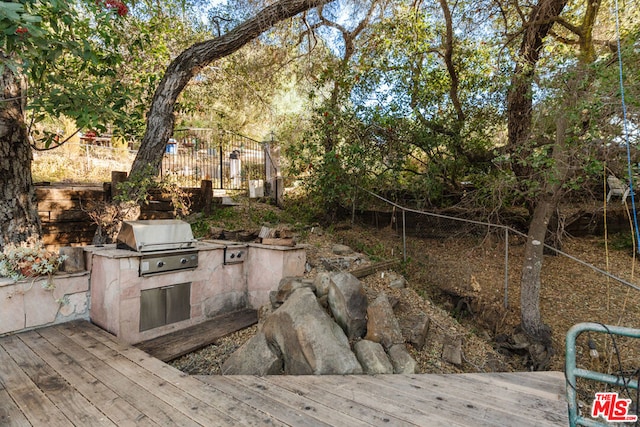 view of yard with a wooden deck and an outdoor kitchen