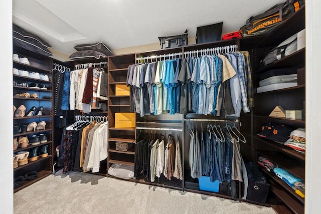 spacious closet with carpet