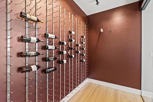 wine area with hardwood / wood-style floors