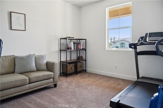 interior space with light colored carpet