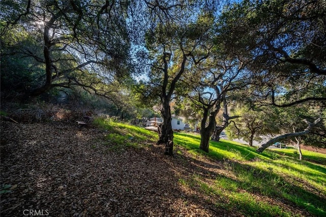 2151 San Luis Dr, San Luis Obispo, CA 93401
